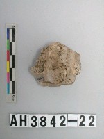 藏品(石英石核)的圖片